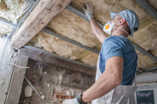 Best Energy Efficiency Solutions in Douglass Hills, KY