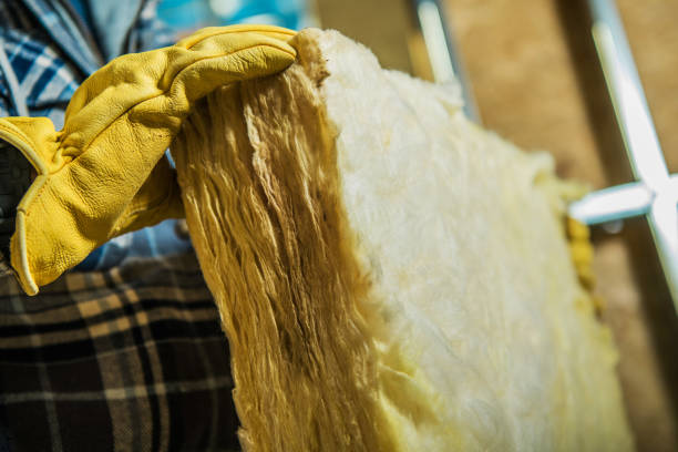 Best Residential Insulation in Douglass Hills, KY